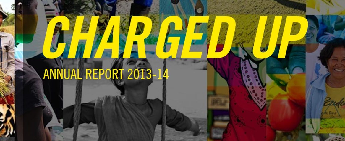 Charged Up: Annual Report 2013-2014