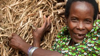 A Ugandan woman smiles as she shows off her crop of beans, dried for storage