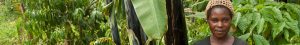 Ugandan woman in her banana field