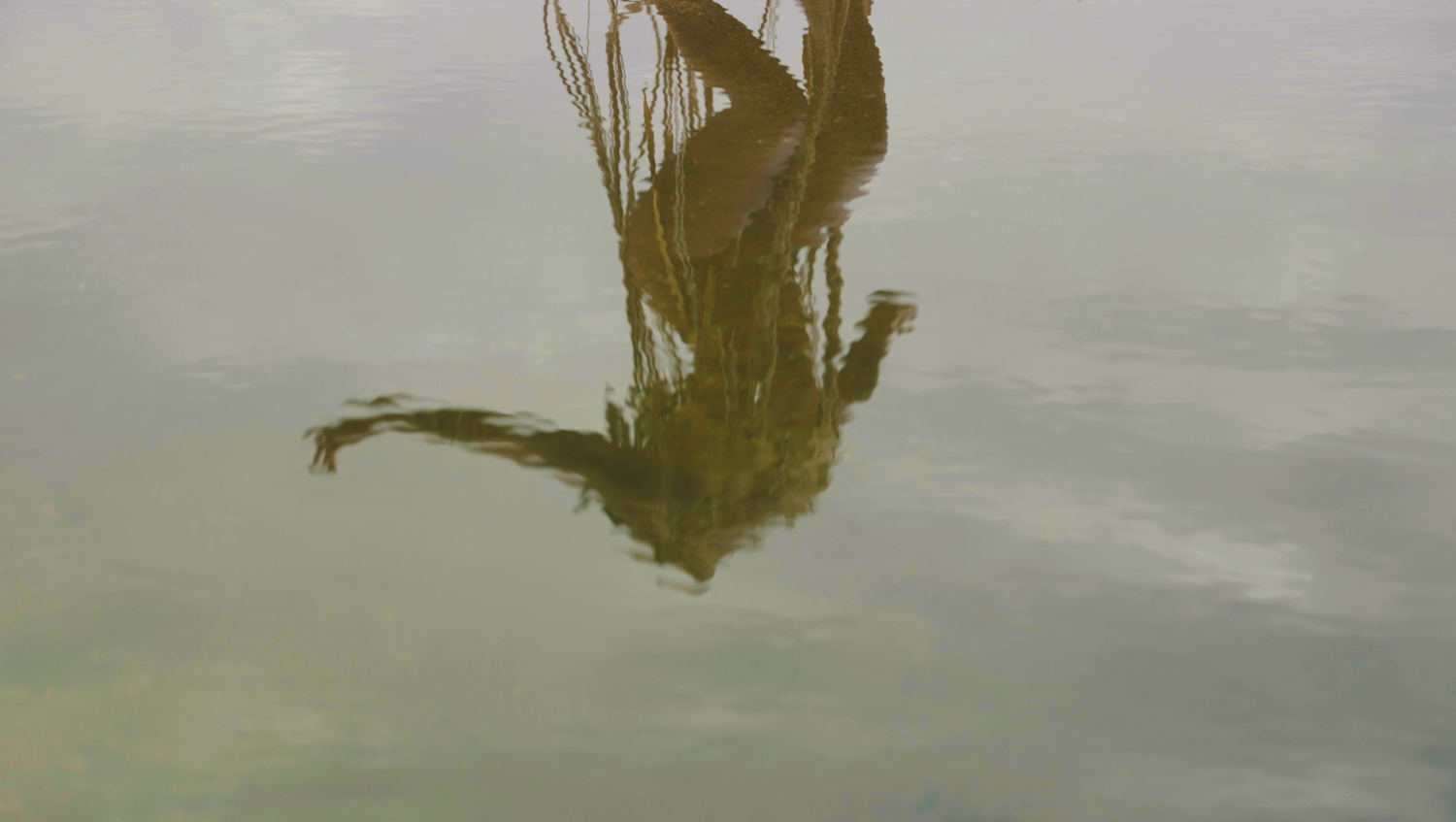 Still from an interdisciplinary video installation based on an ongoing work of myth-making and character building, in which a snake sheds its skin and becomes a river.