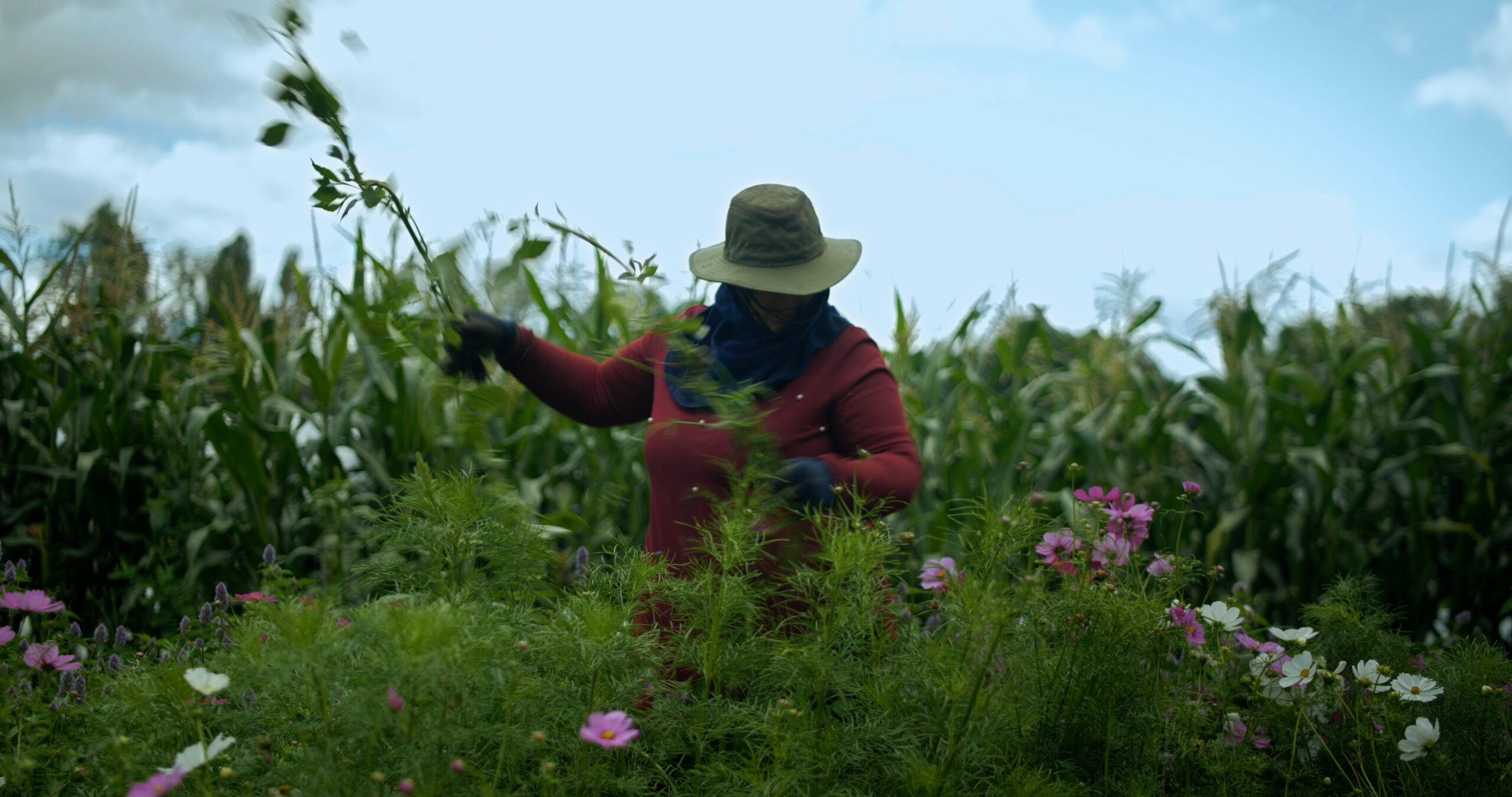 UNE_TERRE_A_SOI_3_20 Still from the documentary feature film, <em>A Land of One’s Own,</em> 2022. By Leïla Saadna
