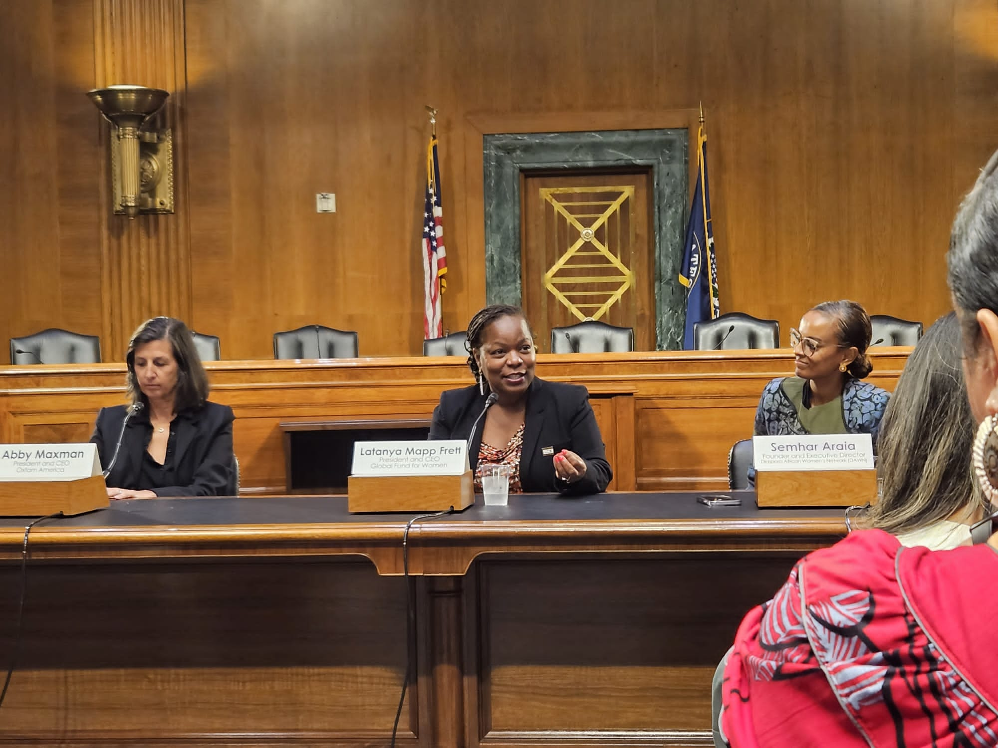 Latanya Mapp Frett speaking in DC at the House of Representatives for Feminist Philanthropy Hill Day