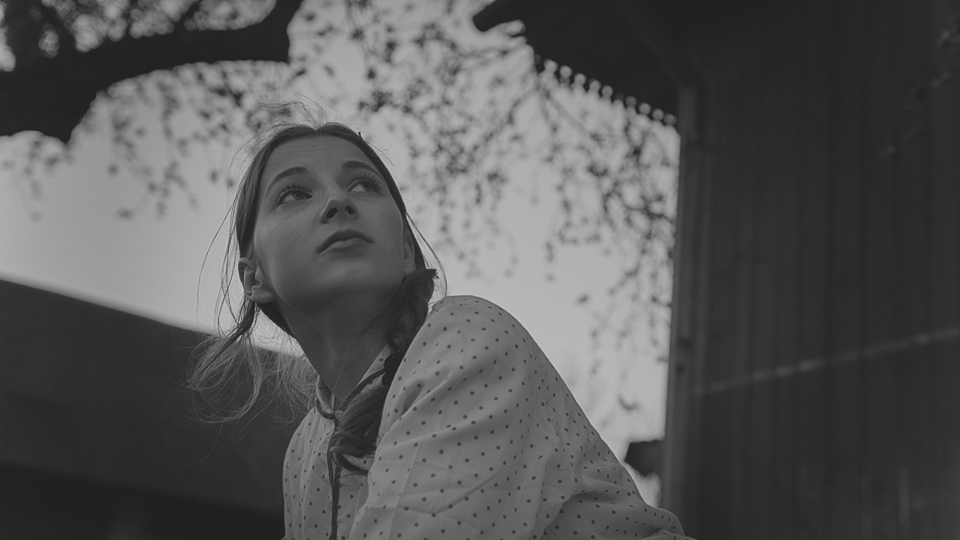 Adaptation of Lesia Ukrainka_s poem (1) A film adaptation of Lesia Ukrainka's poe