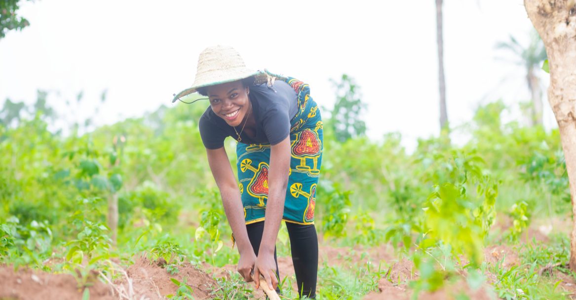 Female,African,Farming,Working,On,Her,Farm,,Using,A,Hoe
